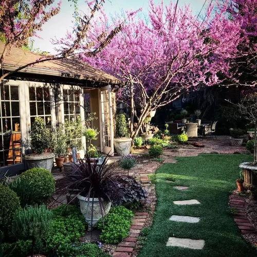 我的寂寞花园,探寻孤独中的美丽与成长