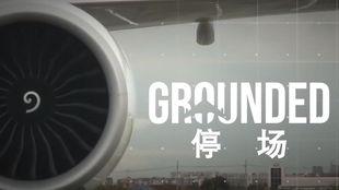 长途航班的秘密生活,空中旅程的幕后故事