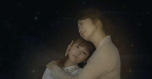 萤火虫之星,自然之光下的神秘之旅